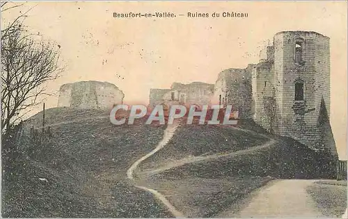 Cartes postales Beaufort en Vallee Ruines du Chateau