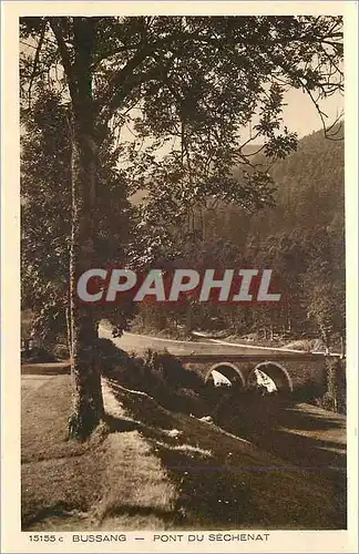 Cartes postales Bussang Pont du Sechenat