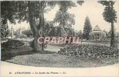 Ansichtskarte AK Avranches Le Jardin des Plantes