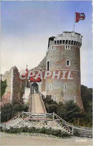 Cartes postales moderne Moulineux SM Chateau de Robert le Diable