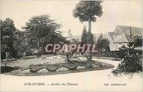 Ansichtskarte AK Avranches Jardin des Plantes