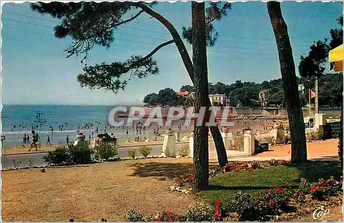 Moderne Karte Vaux Nauzan La Plage a travers les Pins