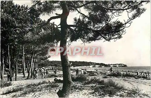 Moderne Karte Saint Geeorges de Didonne La plage devant la foret