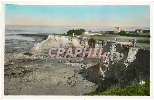 Cartes postales moderne Chatelaillon Les Falaises des Boucheleurs