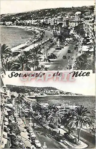 Cartes postales moderne Souvenir de Nice