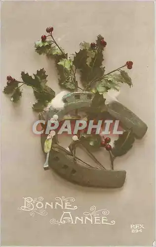 Cartes postales Bonne Annee Fer a cheval Fleurs