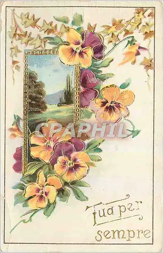 Cartes postales Tudper sempre