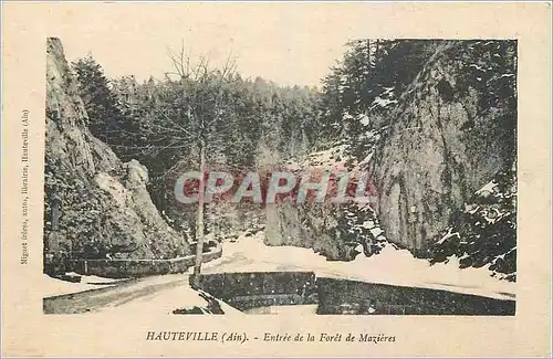 Cartes postales Hauteville Ain Entree de la Foret de Mezieres