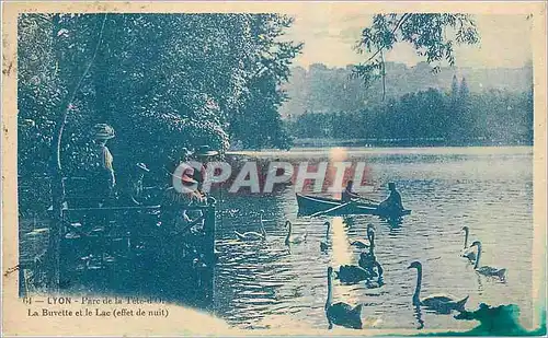 Cartes postales Lyon Parc de la Tete d'Or La Buvette et le Lac Cygnes