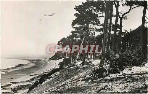 Cartes postales moderne Arcachon Cote d'Argent Plage des Abatilles