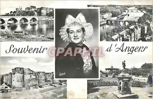 Cartes postales moderne Souvenir d'Angers