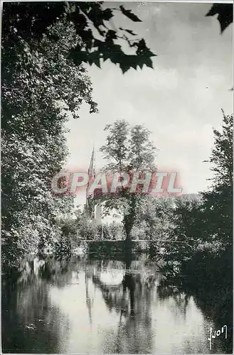 Cartes postales moderne Coulommiers S et M Un coin pittoresque du parc des Capucines