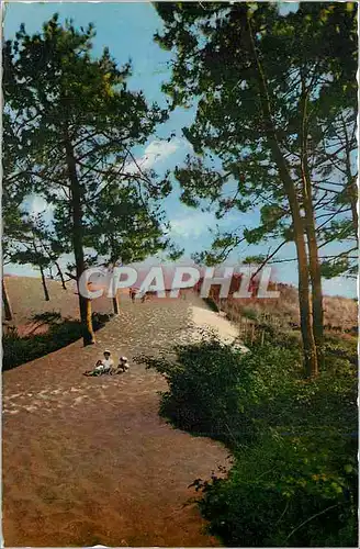 Moderne Karte Bassin d'Arcachon Pilat Plage Le Chemin de la Grande Dune