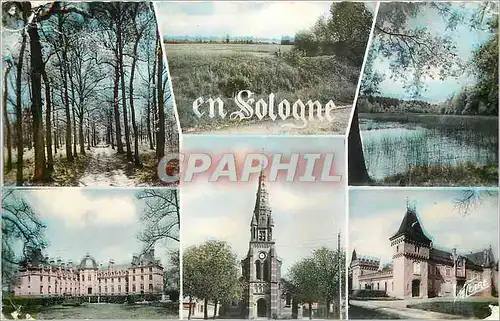 Cartes postales moderne En Sologne Trois aspects de la Sologne