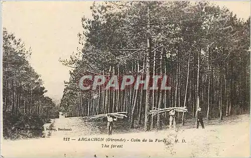 Cartes postales Arcachon Gironde Coin de la Foret