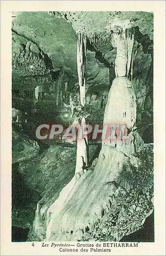 Cartes postales Les Pyrenees Grottes de Betharram Colonne des Palmiers