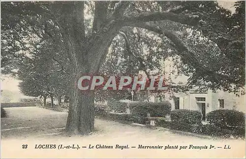 Ansichtskarte AK Loches L et L Le Chateau Royal Marronnier plante par Francois Ier