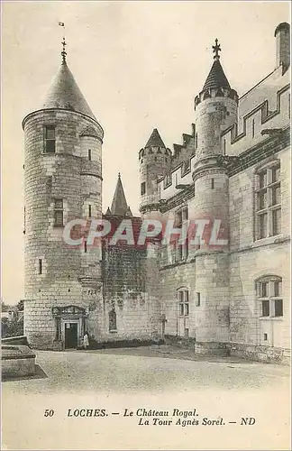 Cartes postales Loches Le Chateau Royal La Tour Agnes Sorel