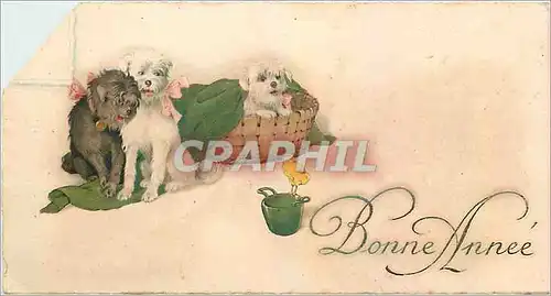 Cartes postales Bonne Annee Chiens