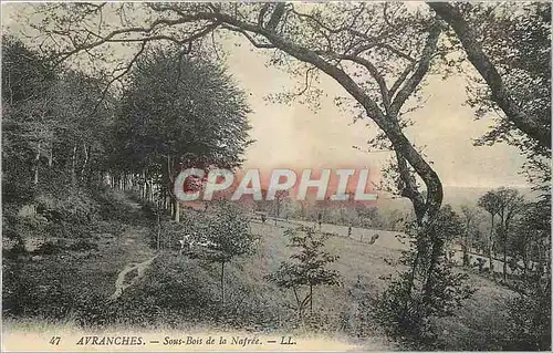 Ansichtskarte AK Avranches Sous Bois de la Nafree