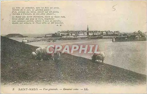 Ansichtskarte AK Saint Malo Vue generale Moutons