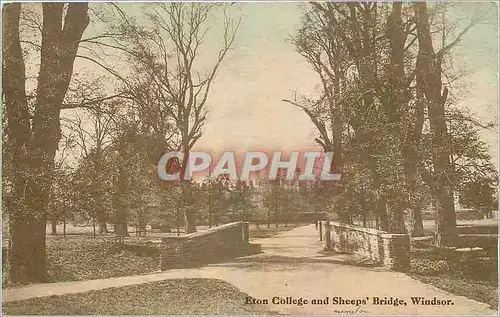 Cartes postales Eton College and Sheeps Bridge Windsor