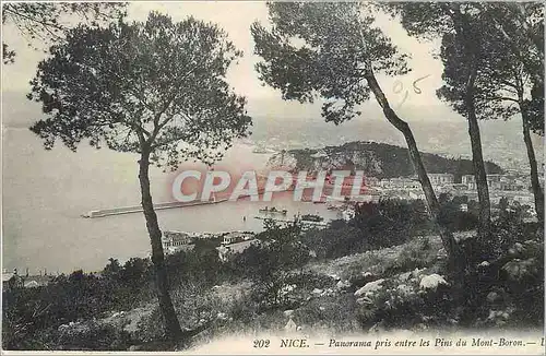 Cartes postales Nice Panorama pris entre les Pins du Mont Boron