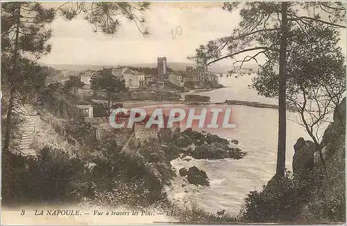 Cartes postales La Napoule Vue a travers les Pins