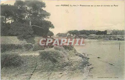 Cartes postales Pornic L Inf Promenade de la Mer et Entree du Port
