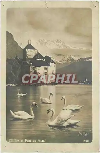 Cartes postales Chillon et Dent du Midi Cygnes