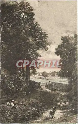 Cartes postales The Cornfield John Constable RA National Gallery