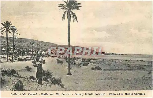 Cartes postales Caifa et Mt Carmel