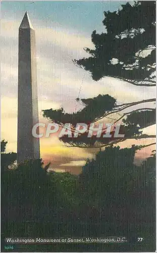 Cartes postales Washington Monument at Sunset Washington DC