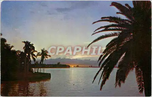 Ansichtskarte AK A Peaceful Tropical Lagoon in Sunny Florida