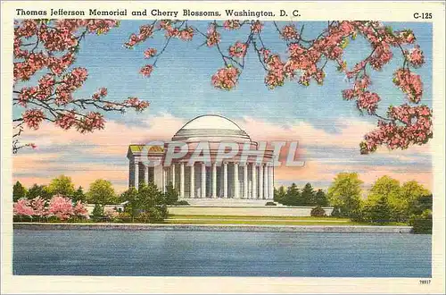 Ansichtskarte AK Thomas Jefferson Memorial and Cherry Blossoms Washington DC