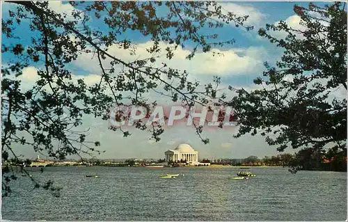 Cartes postales The Jefferson Memorial Washington DC