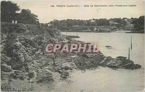 Cartes postales Pornic Loire Inf Cote de Gourmalon vers l'Anse aux Lapins