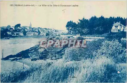 Cartes postales Pornic Loire Inf La Ville et la Cote a l'Anse aux Lapins