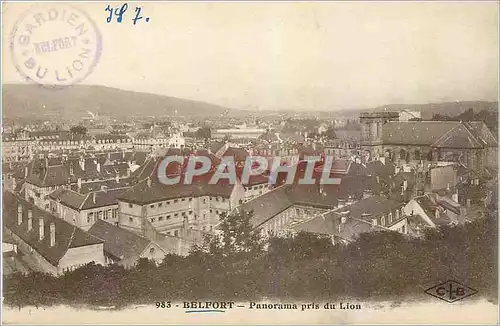 Ansichtskarte AK Belfort Panorama pris du Lion