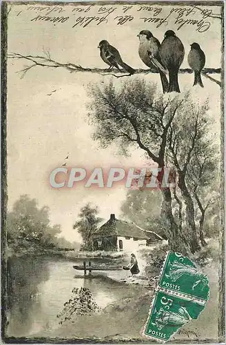 Cartes postales Oiseaux