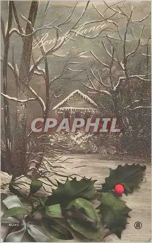 Cartes postales Bonne Annee