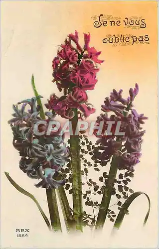 Cartes postales Je ne vous oublie pas