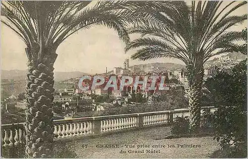 Cartes postales Grasse Vue prise entre les Palmiers du Grand Hotel