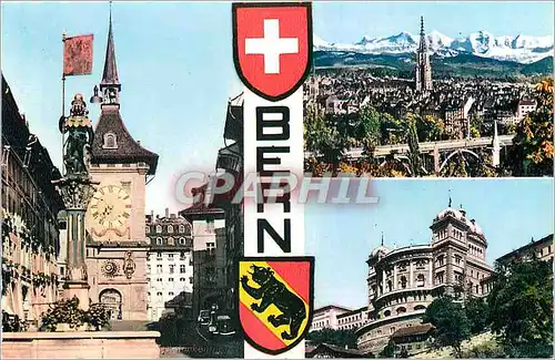 Cartes postales moderne Bern Ours