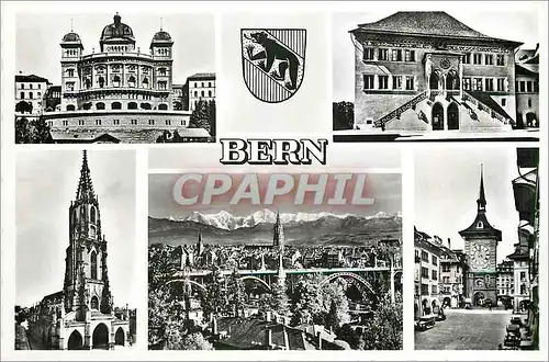 Cartes postales moderne Bern Ours