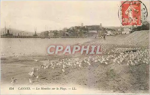 Ansichtskarte AK Cannes Les Mouettes sur la Plage