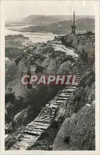 Cartes postales moderne Cavaillon Les Escaliers de l'Ermitage