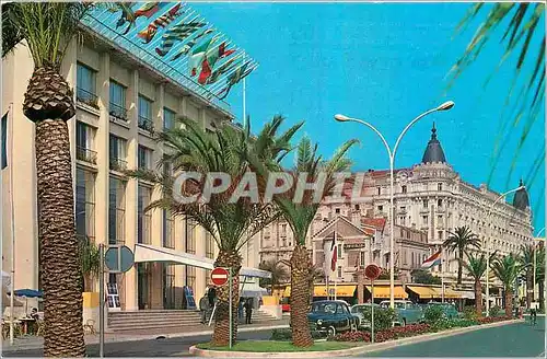 Cartes postales moderne Cannes Sur la Croisette Le Festival et l'Hotel Carlton