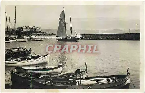 Cartes postales moderne Antibes Le port Le Fort carree et les Alpes Bateaux