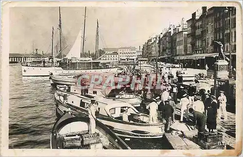 Cartes postales moderne Toulon Vue sur le quai Bateaux
